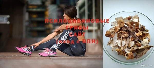 сатива Абаза