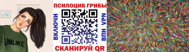 Галлюциногенные грибы мицелий  darknet телеграм  Тимашёвск 